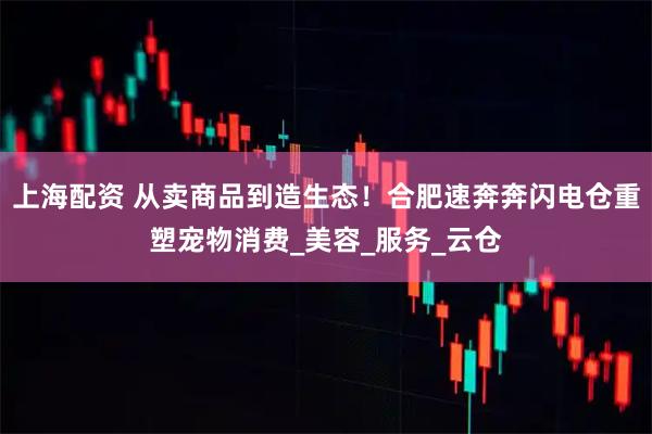 上海配资 从卖商品到造生态！合肥速奔奔闪电仓重塑宠物消费_美容_服务_云仓