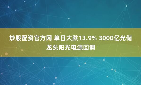 炒股配资官方网 单日大跌13.9% 3000亿光储龙头阳光电源回调